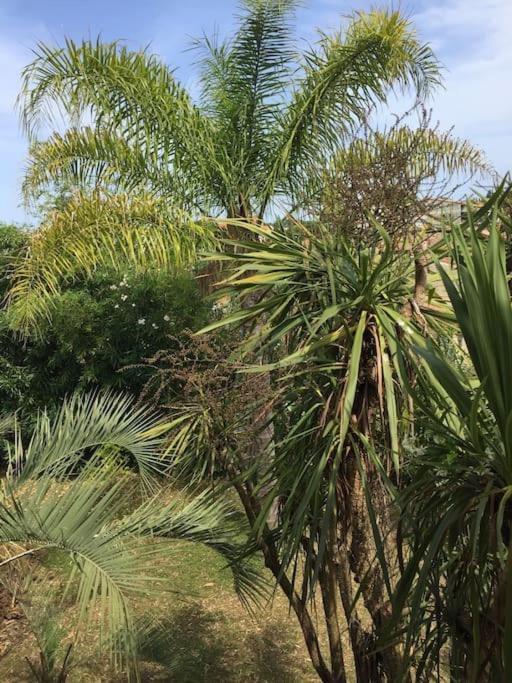 Mare E Monte , Jardin Mediterraneen Et Exotique. Ґізоначча Екстер'єр фото